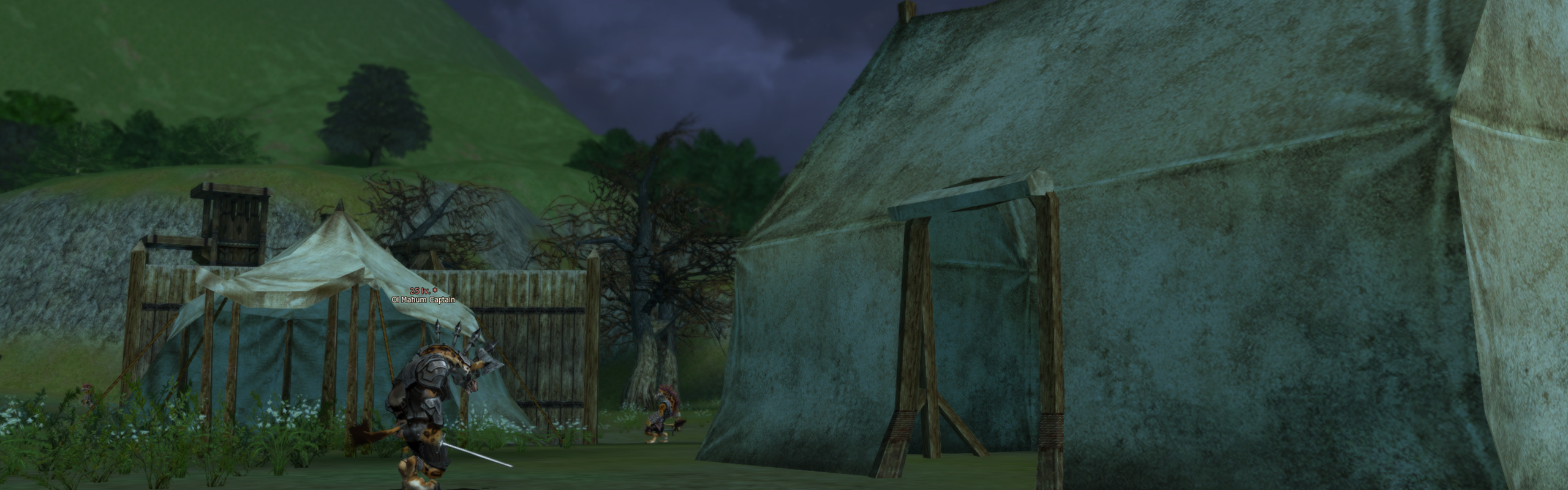Abandoned Camp
